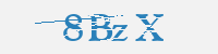 보안문자